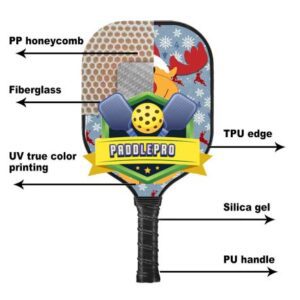 The Schoolyard Series – School Club Pickleball Paddles
